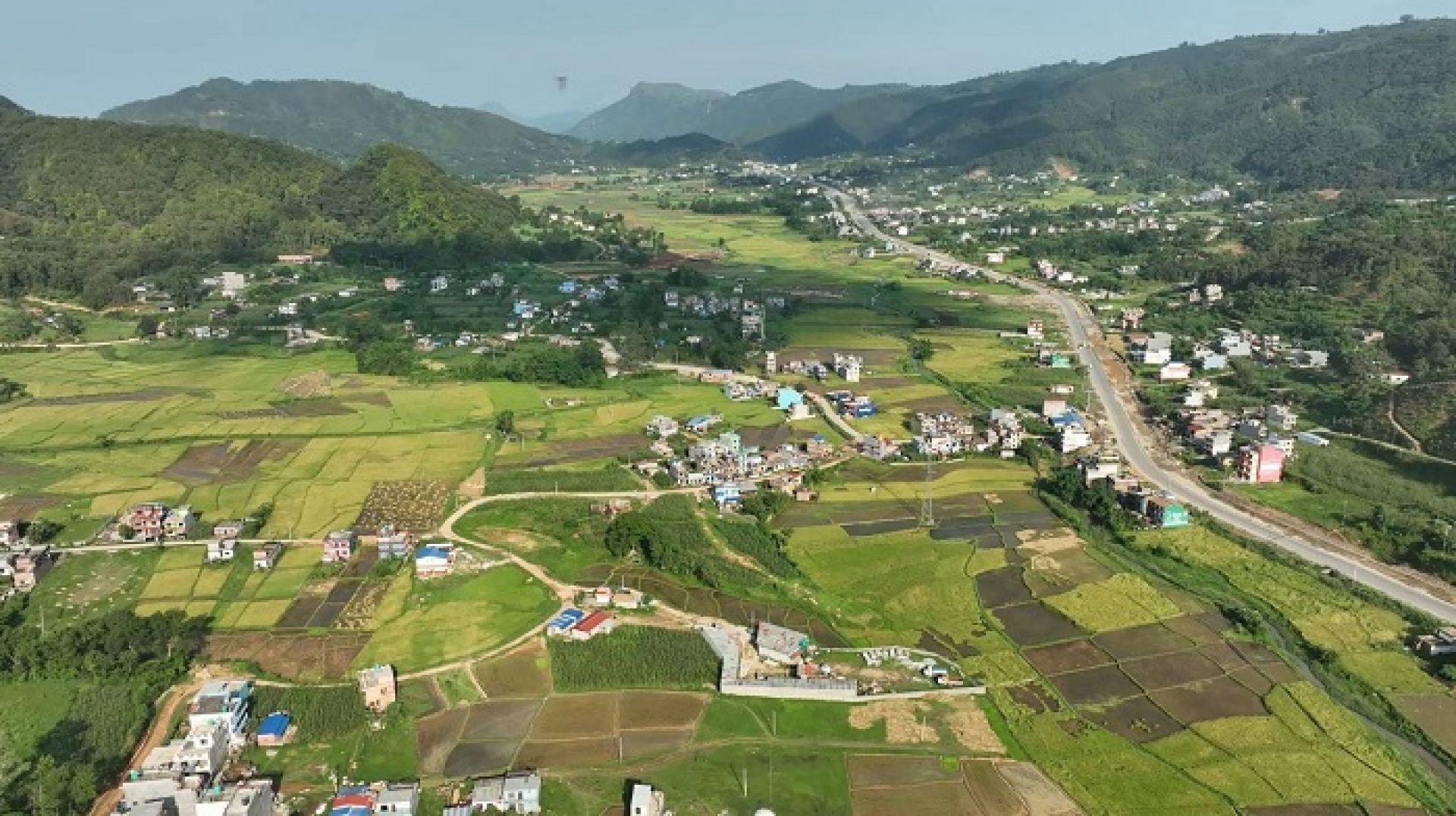 तनहुँमा धान उत्पादन वृद्धि, दुई सय ९२ मेट्रिक टन उत्पादन